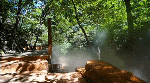 微信截图_20220819154606