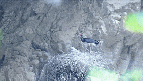 微信截图_20220819154648