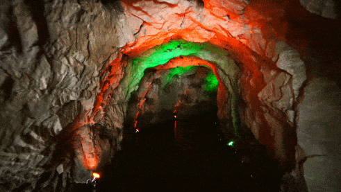 微信截图_20220819154705