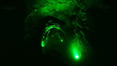 微信截图_20220819154720