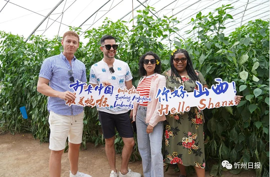 微信截图_20220822104923