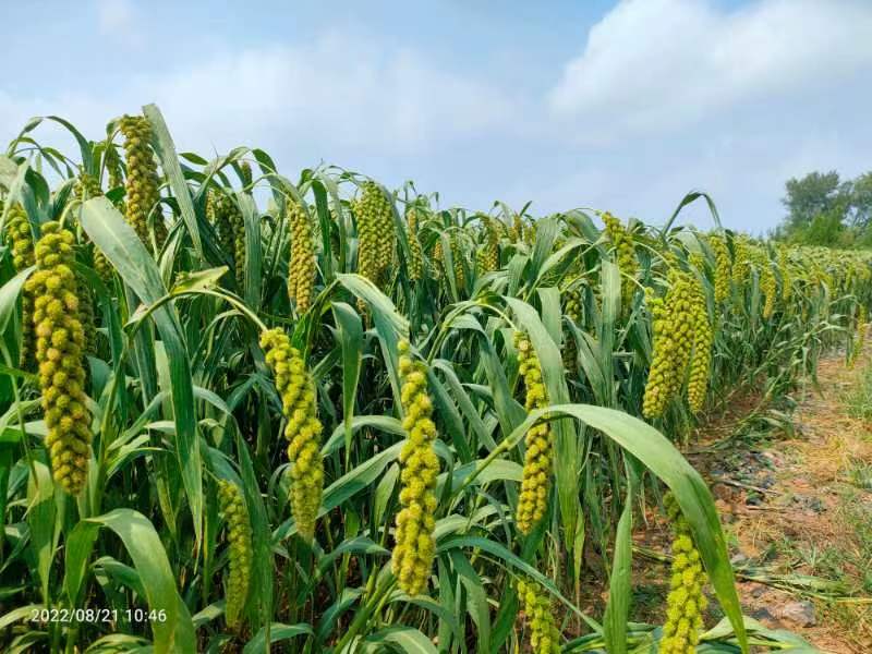 微信图片_20220823142935