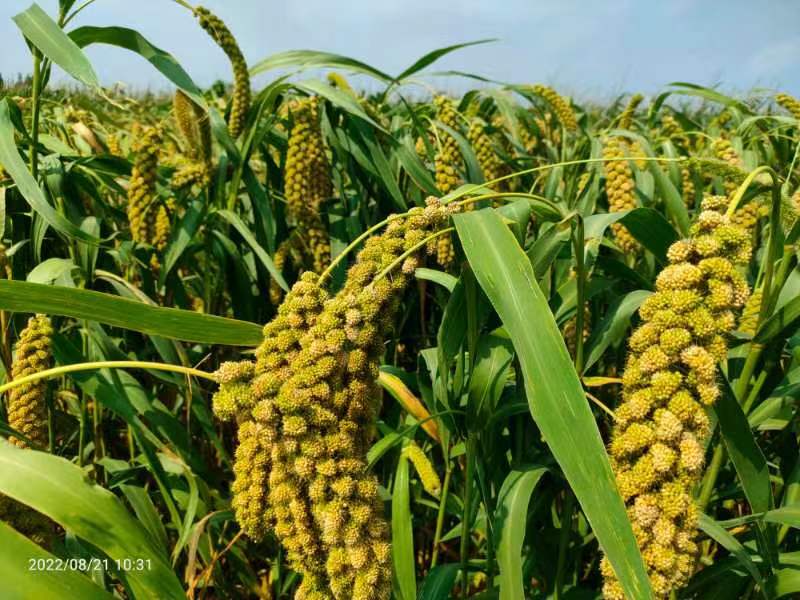 微信图片_20220823142908