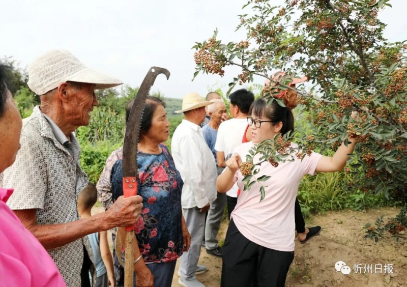 微信图片_20220823171916