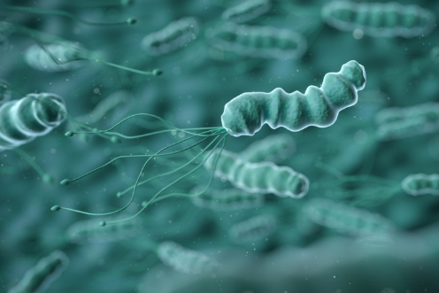 微信截图_20220824113000