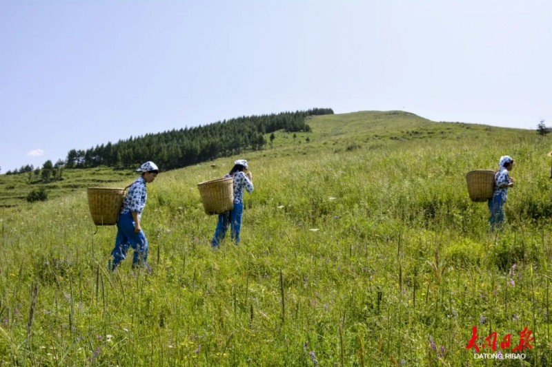 微信图片_20220824145304