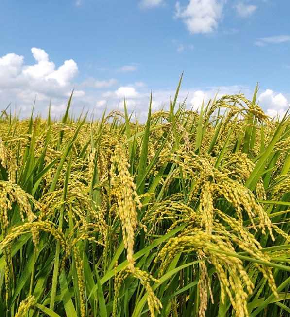 微信截图_20220825143151