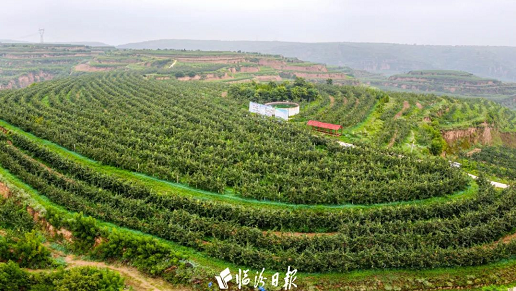 微信截图_20220825151010