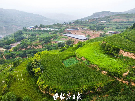 微信截图_20220825151016