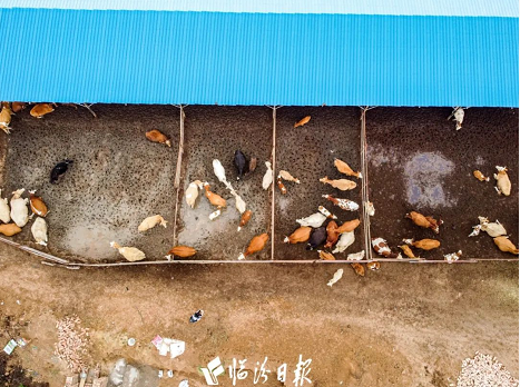 微信截图_20220825151023