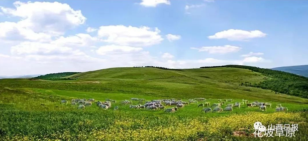 微信截图_20220826145240