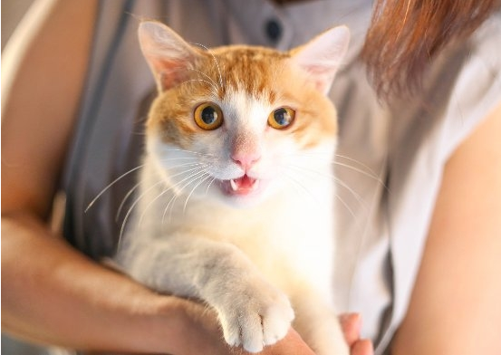 微信截图_20220906140713