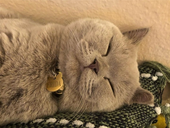 微信截图_20220906140721