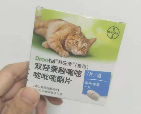 微信截图_20220906140727