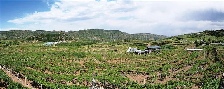 微信图片_20220907154455