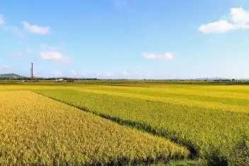 微信图片_20220907155244