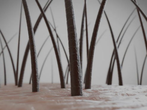 微信截图_20220908173613