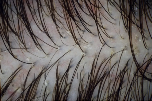 微信截图_20220908173621