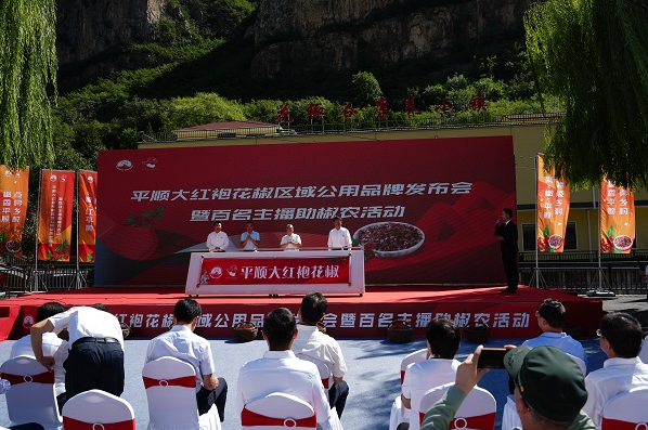 微信截图_20220909165450