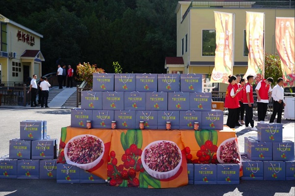 微信截图_20220909165512