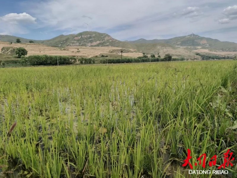 微信图片_20220914172702