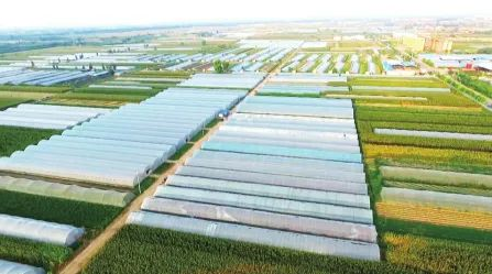 微信截图_20220915095448