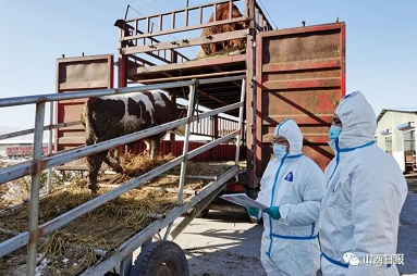 微信截图_20220916153428