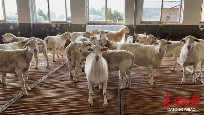 微信图片_20220920095550