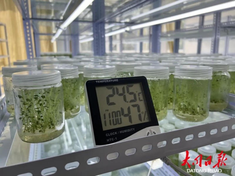 微信图片_20220920095606