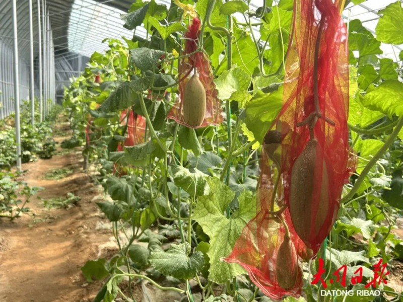 微信图片_20220920095609