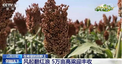 微信截图_20220920100210