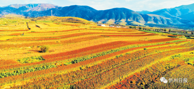 微信图片_20220920101405