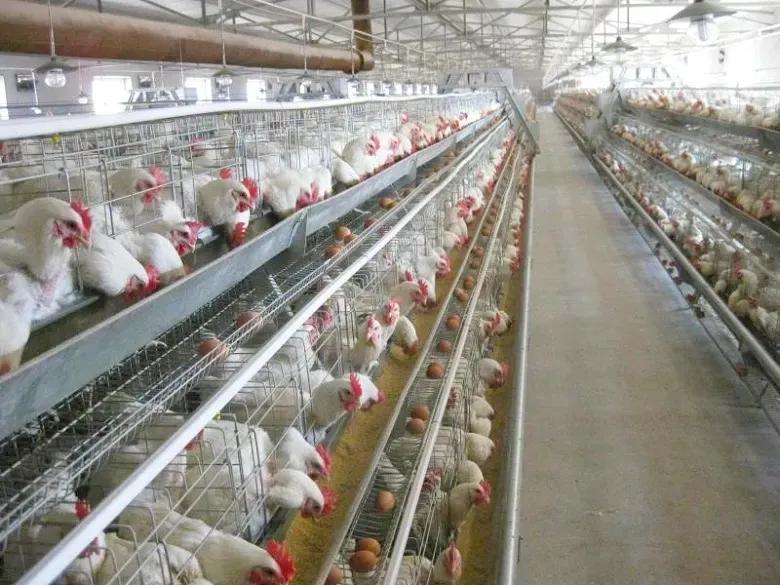 微信图片_20220921143313