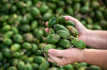 微信截图_20220922150145