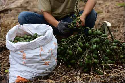 微信截图_20220922150214