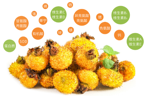 微信截图_20220922154051