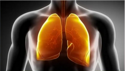 微信截图_20220926175056