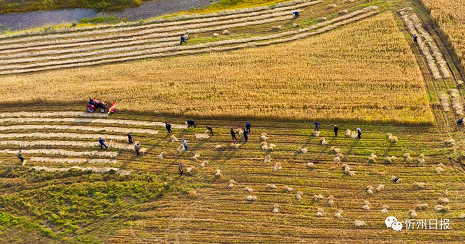 微信截图_20220927154030