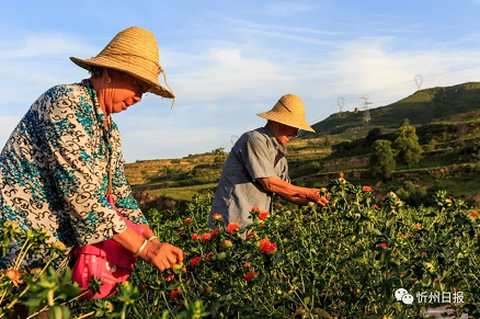 微信截图_20220927154036