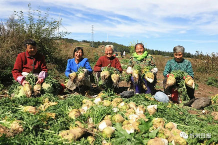 微信截图_20220927154042