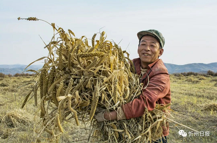 微信截图_20220927154048