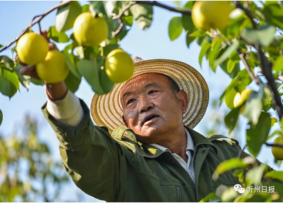 微信截图_20220927154054