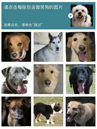 微信截图_20220927163919