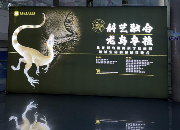 微信截图_20220928172016