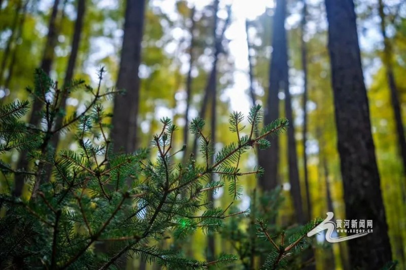 微信图片_20220929171453