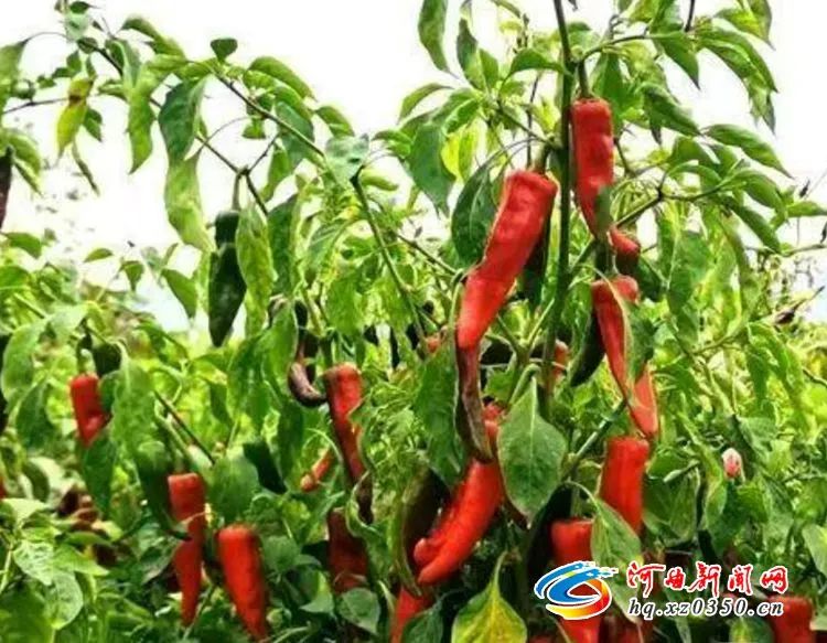 微信图片_20221008165302