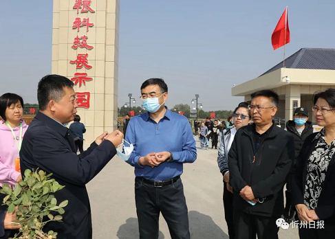 微信截图_20221009151534