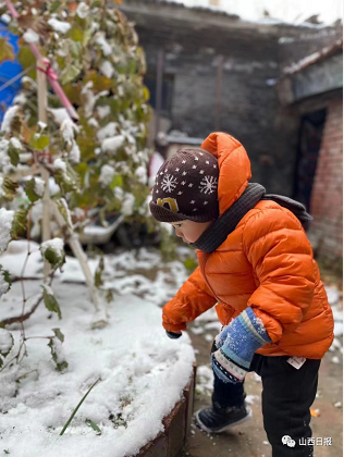 微信截图_20221010100157