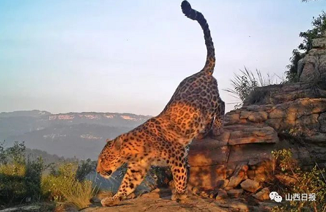 微信截图_20221012162816