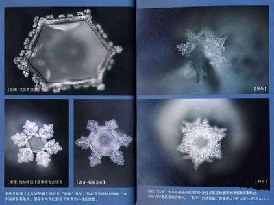 微信图片_20221013133816